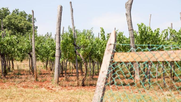Zaradi suše že izvajajo požarno stražo