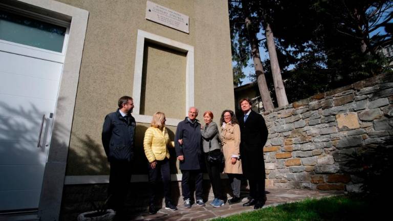 »Ustvarjalnost ob vsaki steni«