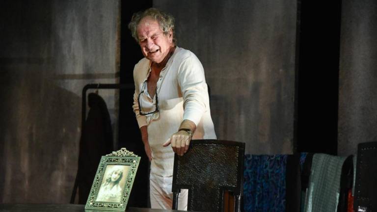 Bernhardov Videz vara