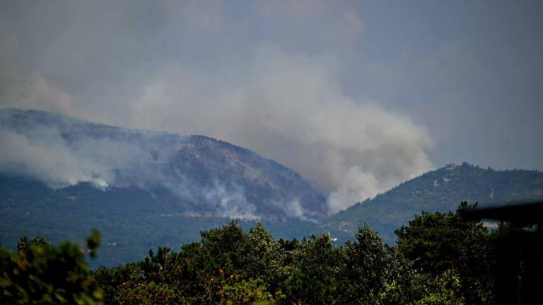 Zagorelo na dveh mestih, ogenj naj bi bil podtaknjen (foto in video)