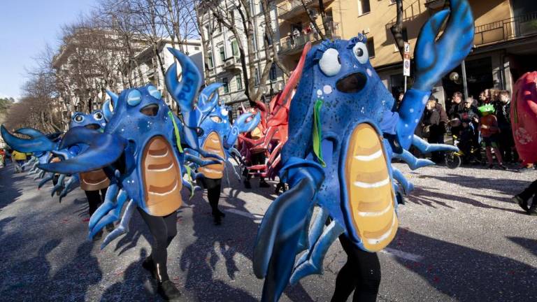 Willy Wonka iz Medjevasi-Štivana zmagal v Tržiču