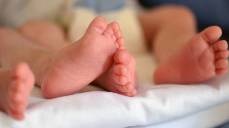 V Trstu se je negativen demografski trend lani rahlo obrnil