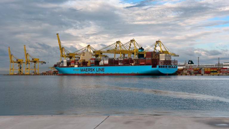 Kjer je bilo morje, zdaj stoji žerjav