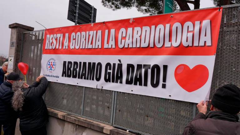 »Če je Gorica enotna, lahko bitko zmaga«