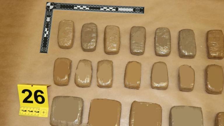 Za skoraj 300 tisoč evrov droge