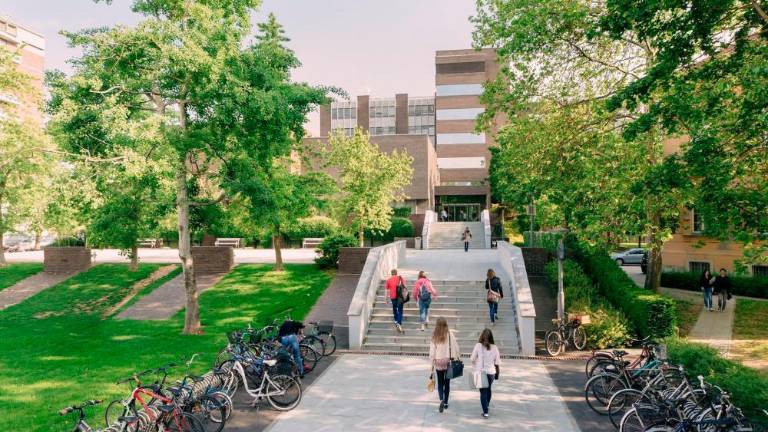 Dilema za zdravnike: po študiju delati v Sloveniji ali v zamejstvu?