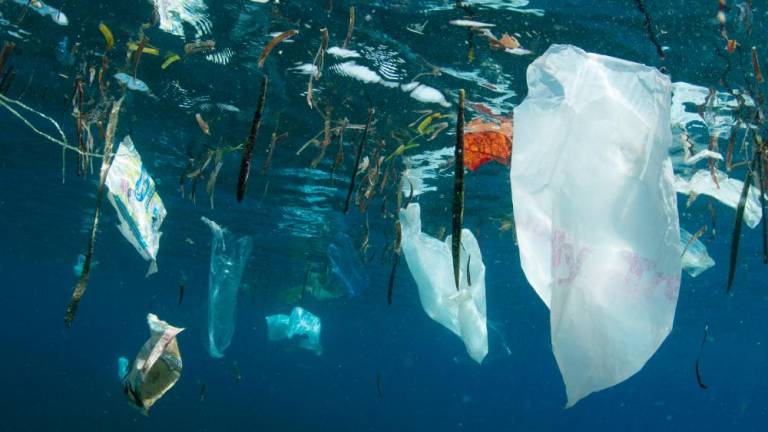 V ustavi skrb za okolje, v morju pa plastika