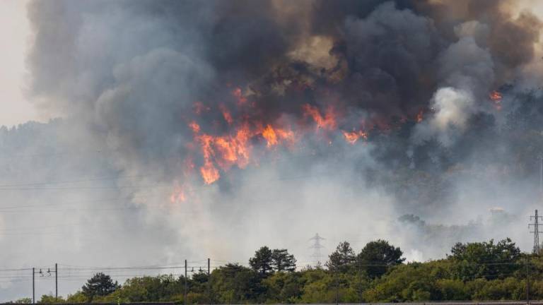 WWF in LAS Kras za preprečevanje požarov