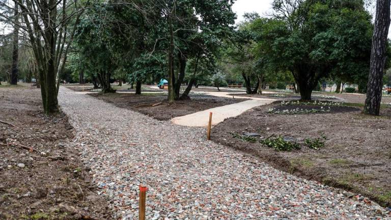 Zasadili so 60 dreves in skoraj 40 tisoč rastlin