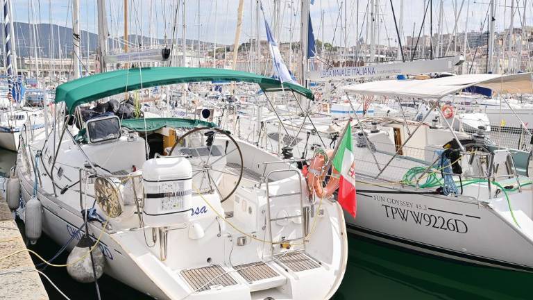 Namesto kriminalnih združb na krovu ranljive skupine