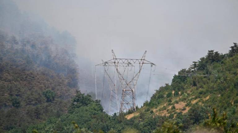 Zagorelo na dveh mestih, ogenj naj bi bil podtaknjen (foto in video)