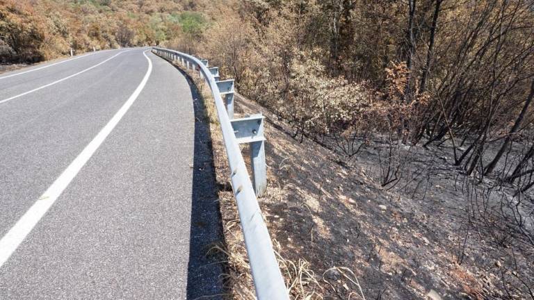 Ceste skozi Dol še ne bodo odprli