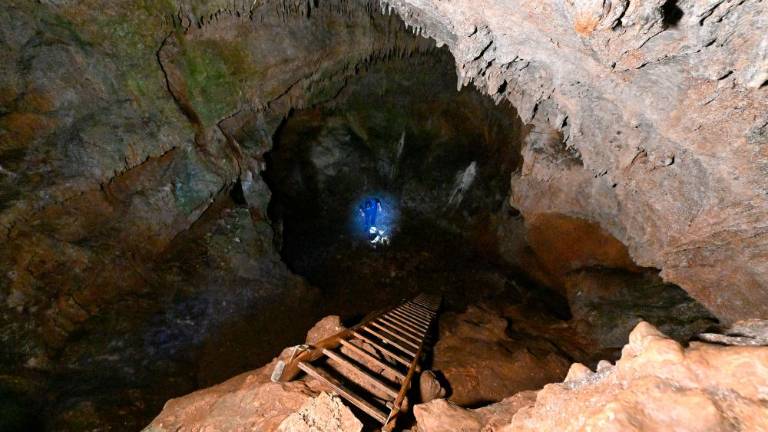 Jutri (nedelja) pohod po kraških pečinah in spomenikih