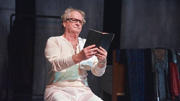 Bernhardov Videz vara