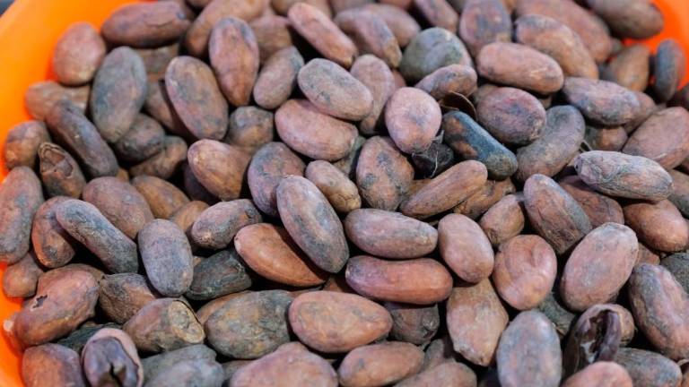 Za ljubitelje čokolade in sladkih izdelkov