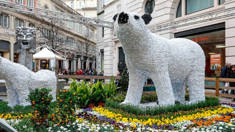 Sejem cvetja uvod v tržaško turistično sezono
