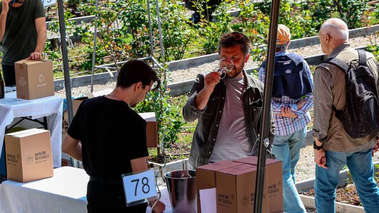 Jubilejni cvetlični sejem Horti Tergestini privabil številne obiskovalce