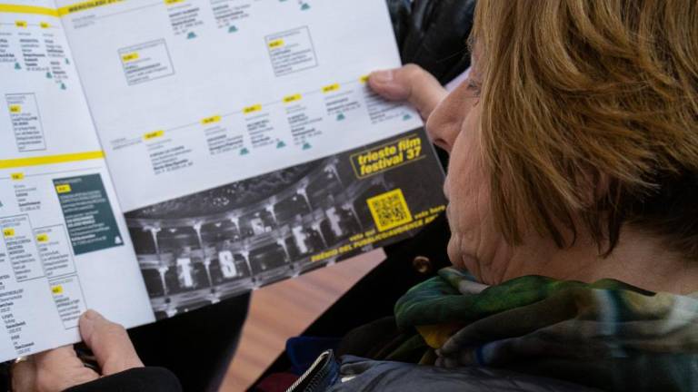 Od danes je mogoče prevzeti akreditacije za TSFF