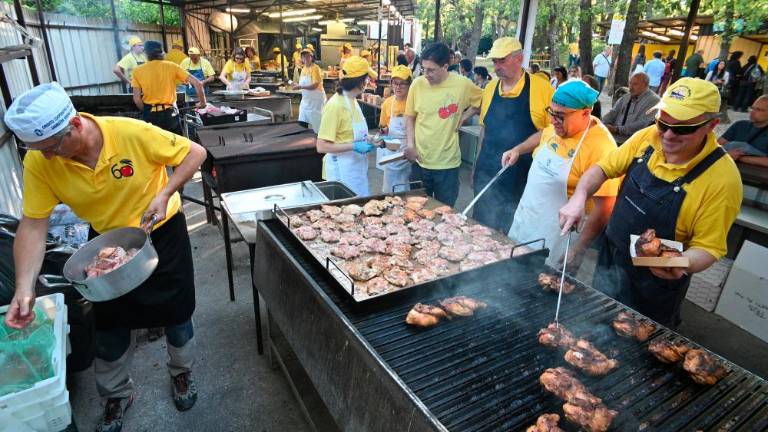 61. Praznik češenj v Mačkoljah