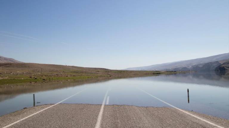 Umetnost kot sredstvo upora in preseganja meja