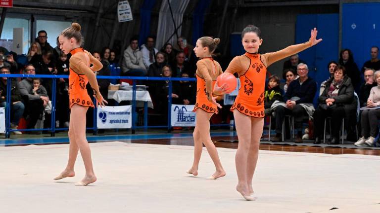 Borova božična akademija