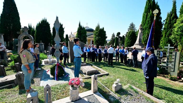 Želi si Evrope s koreninami in perutmi