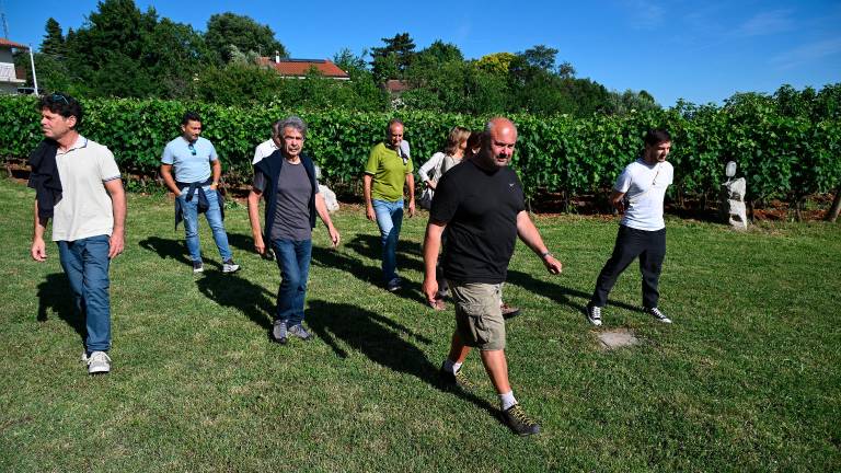Praprot v znamenju festivala Vitovska &amp; harmonika