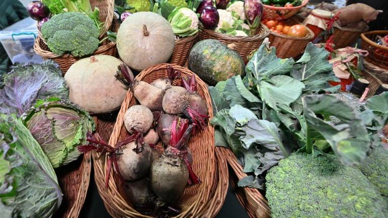 Trst lani tretji na italijanski lestvici podražitev