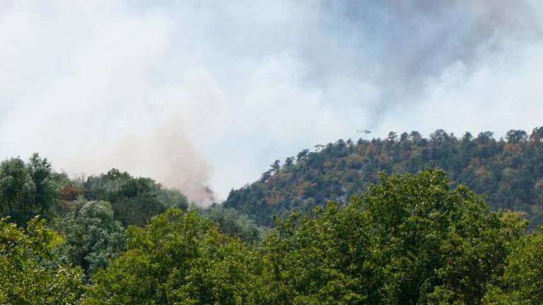 Na Brestovcu spet gori