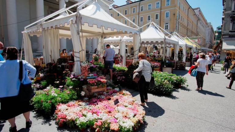 Cvetlični sejem na tržaških ulicah