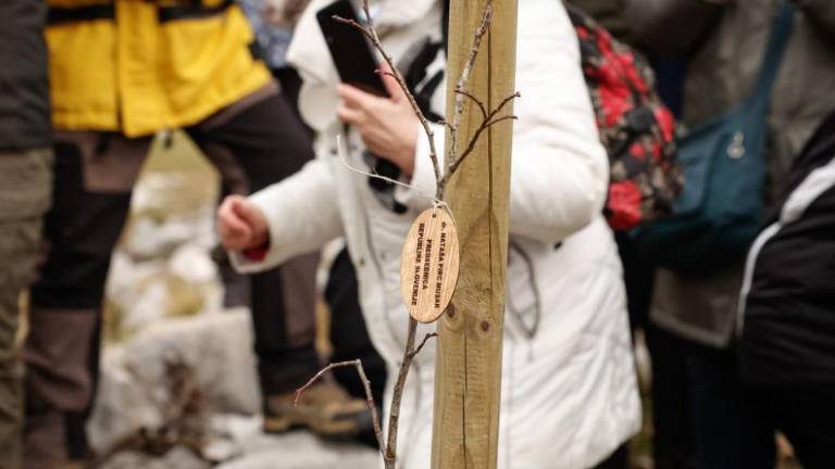 Ob jubileju posadili 70 hrastov