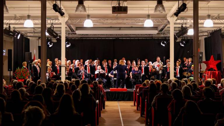 TPPZ niz uspešnih nastopov sklenil v Starem pristanišču