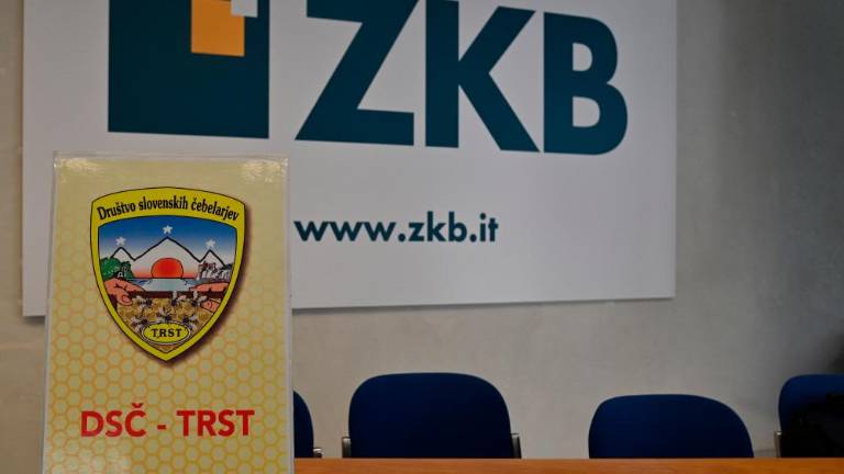 Ob svetovnem dnevu čebel