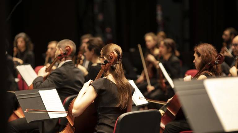 Zaradi izključitve treh ruskih violinistk deželni orkester FJK ne bo nastopil