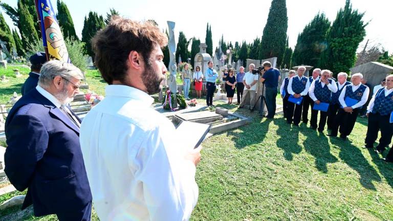 Želi si Evrope s koreninami in perutmi