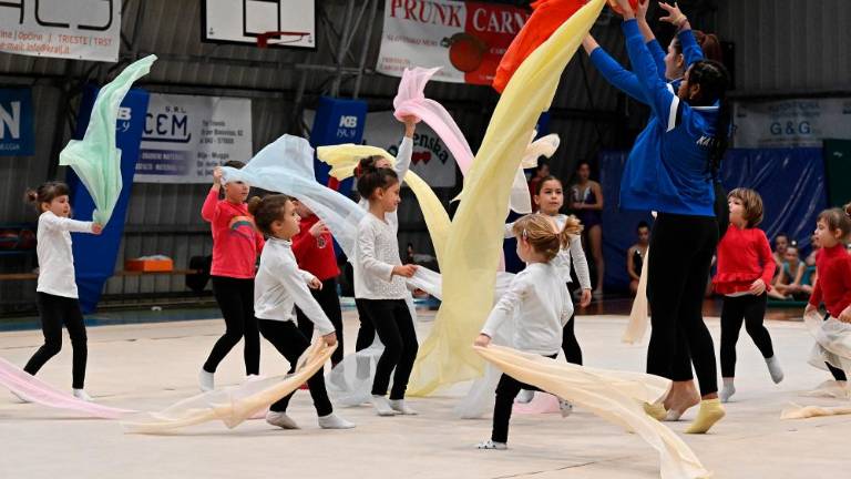 Borova božična akademija