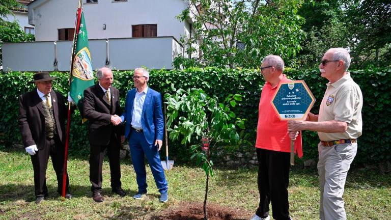 Ob svetovnem dnevu čebel