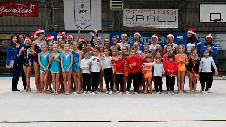 Borova božična akademija