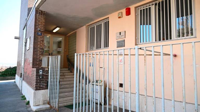 Novih slovenskih jasli ne bo