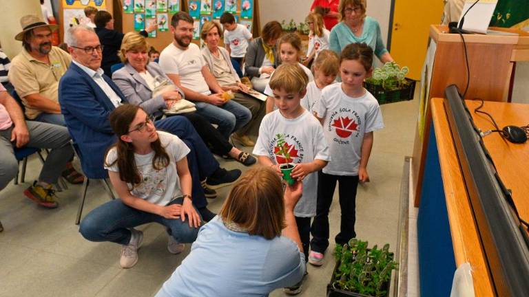 Ob svetovnem dnevu čebel