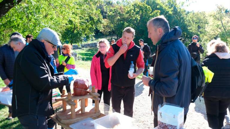 Jesenski pohod na Kohišče