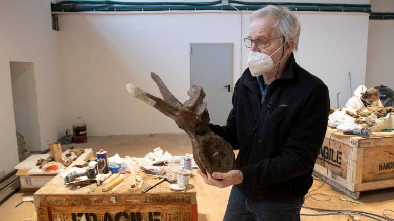 Tudi Trst ima svoj jurski park