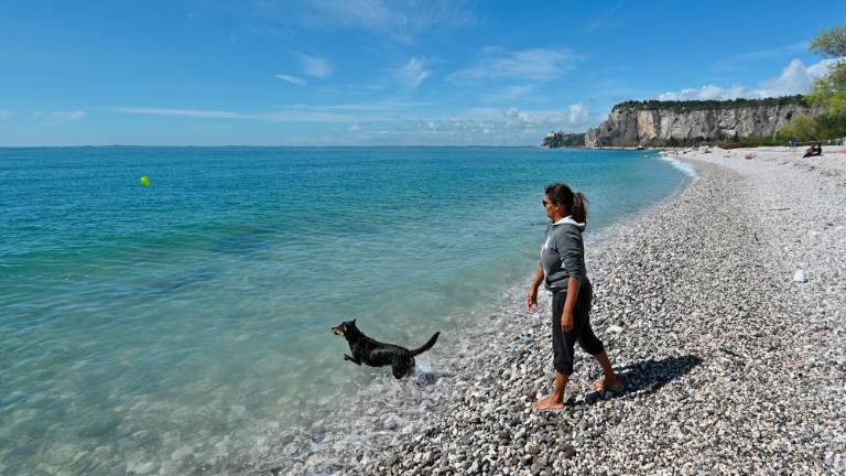 Sesljan in naselje Portopiccolo se pripravljata na novo sezono