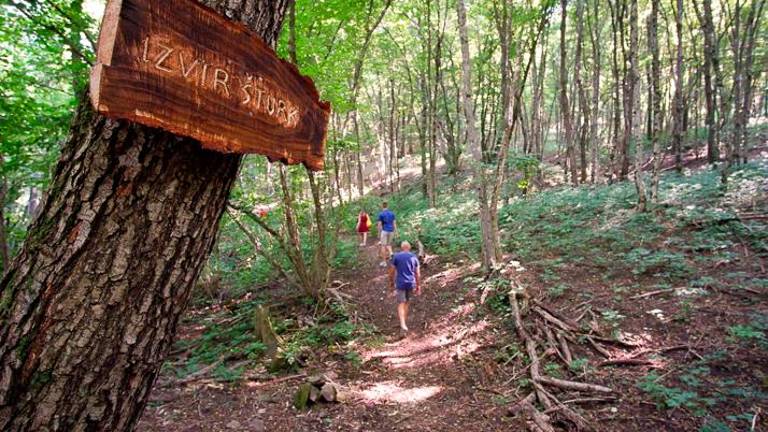 Novo življenje izvira Šturk pri vasi Vrhpolje