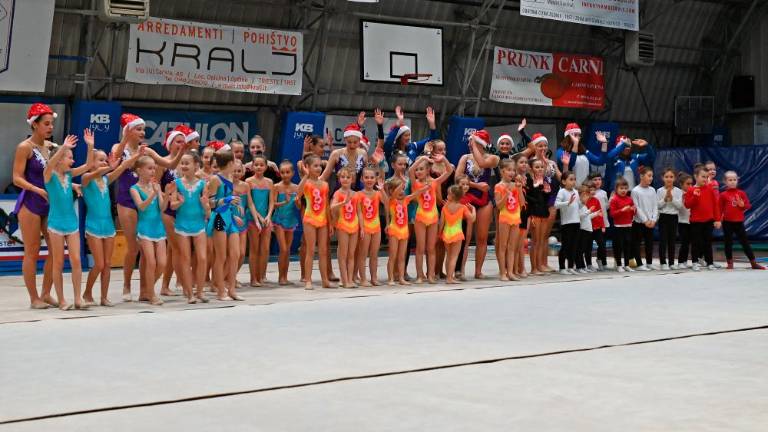 Borova božična akademija