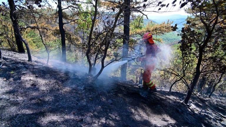 V Prebenegu mirno, tudi pod Socerbom se požar ne širi več