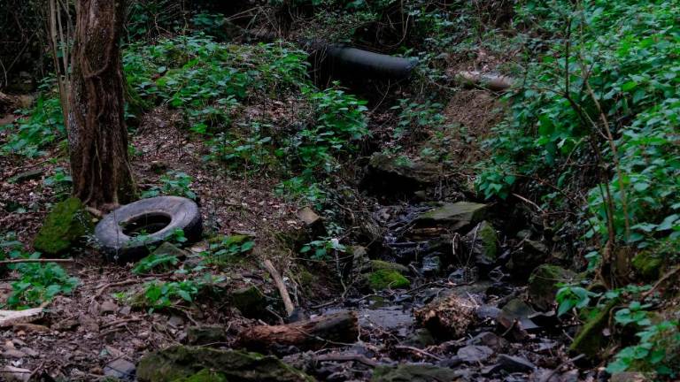 Očistili bodo šesterico tržaških potokov
