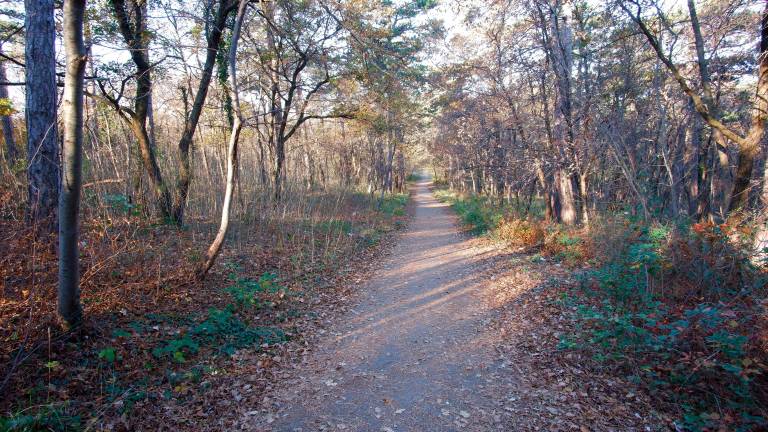 Kraški jusarji s kopico pritožb proti sklepom javnih uprav