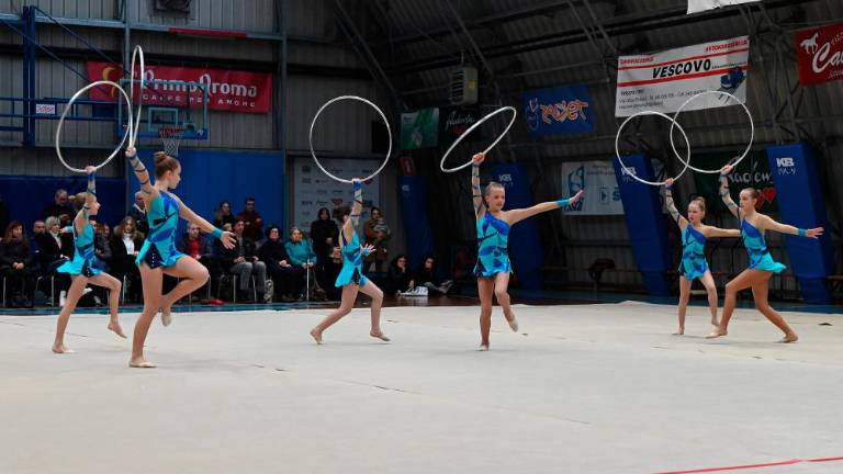 Borova božična akademija