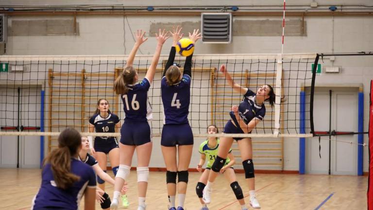 V ženski odbojkarski D-ligi dve ekipi z različnimi cilji